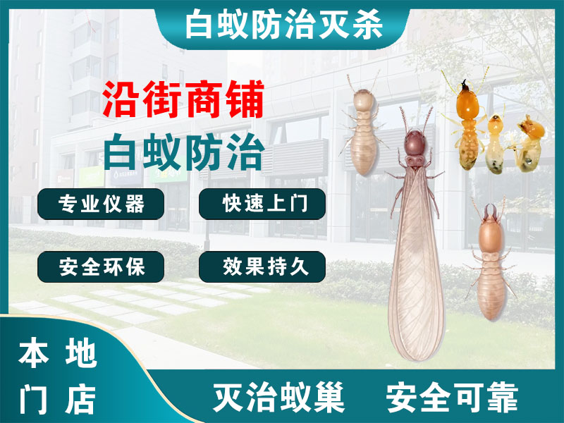 越城区沿街商铺白蚁防治