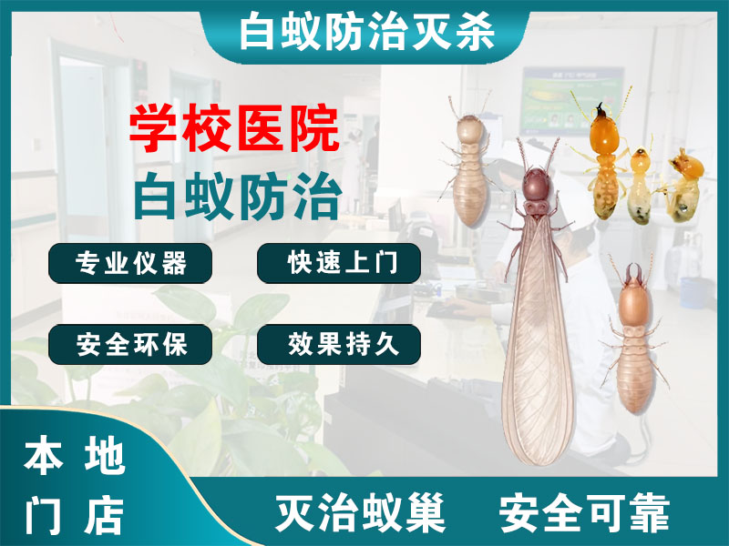 越城区学校医院白蚁防治