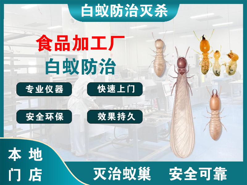 越城区食品加工厂白蚁防治