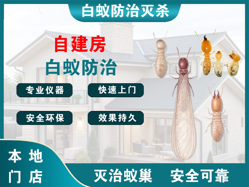 越城区自建房白蚁防治
