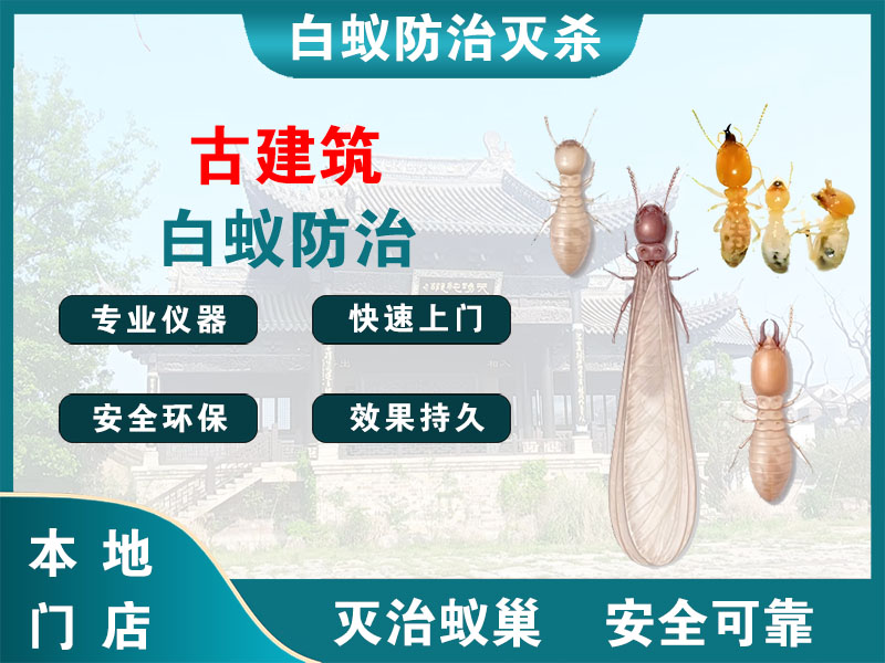 越城区古建筑白蚁防治