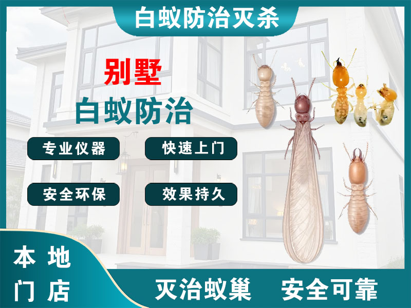 越城区别墅白蚁防治