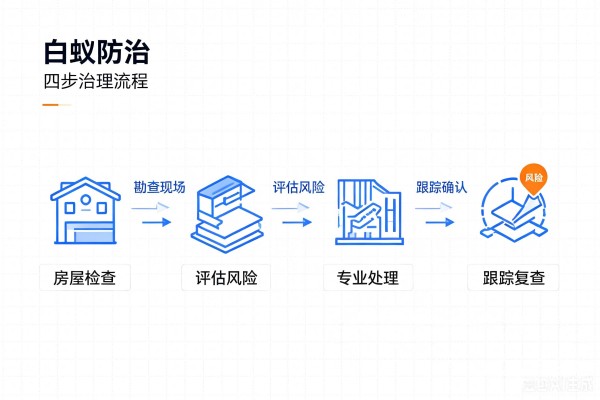 1784258260168107.jpg 白蚁防治图片生成 (17).jpg